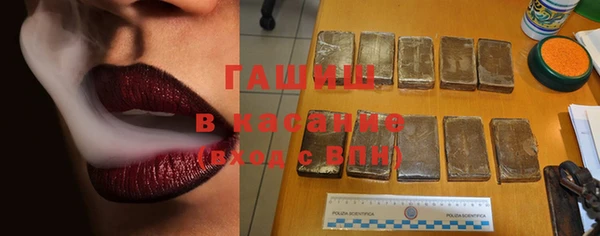 прущие грибы Нягань