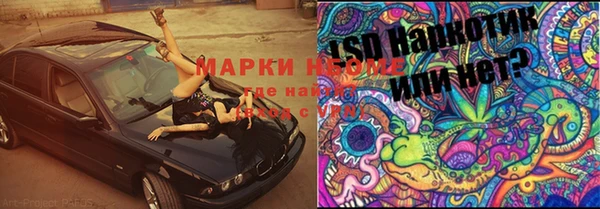 таблы Няндома