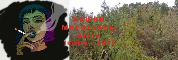 прущие грибы Нягань
