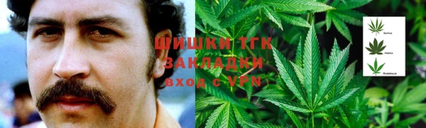 таблы Няндома